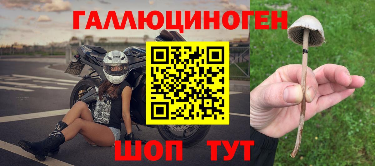 Псилоцибиновые грибы Cubensis Острогожск